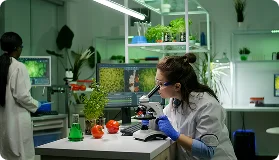 Healthcare & Life Sciences